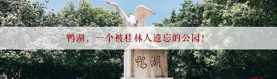 厉害了！恭城镇被中央点名了！770 / 作者:花花菌 / 帖子ID:232222