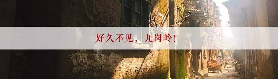 厉害了！恭城镇被中央点名了！218 / 作者:花花菌 / 帖子ID:232222