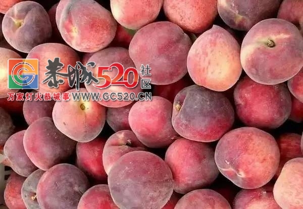 刚吃一个，就差点送命！这种水果正大量上市，恭城很多人都爱吃！958 / 作者:啤酒加烤串儿 / 帖子ID:232249