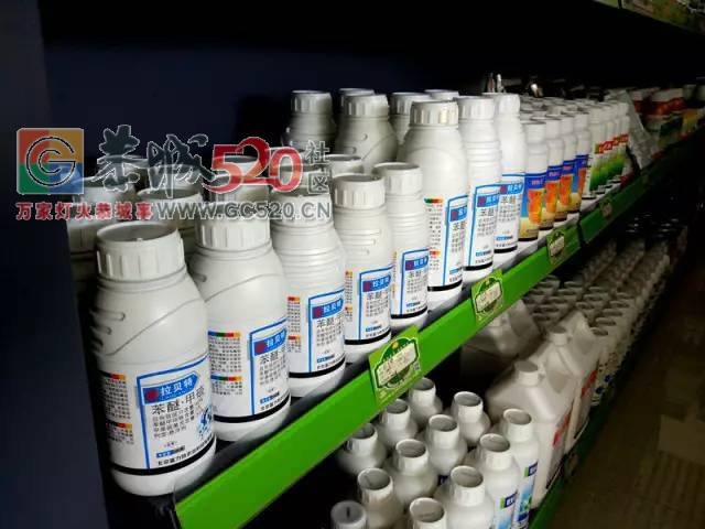 聪明的农民伯伯都知道恭城这几家农资店,让你的果树田地远离病害!30 / 作者:狗婆蛇 / 帖子ID:232264