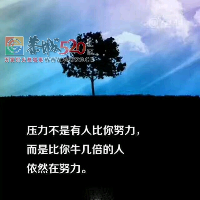 话费充值947 / 作者:13471374932 / 帖子ID:232430