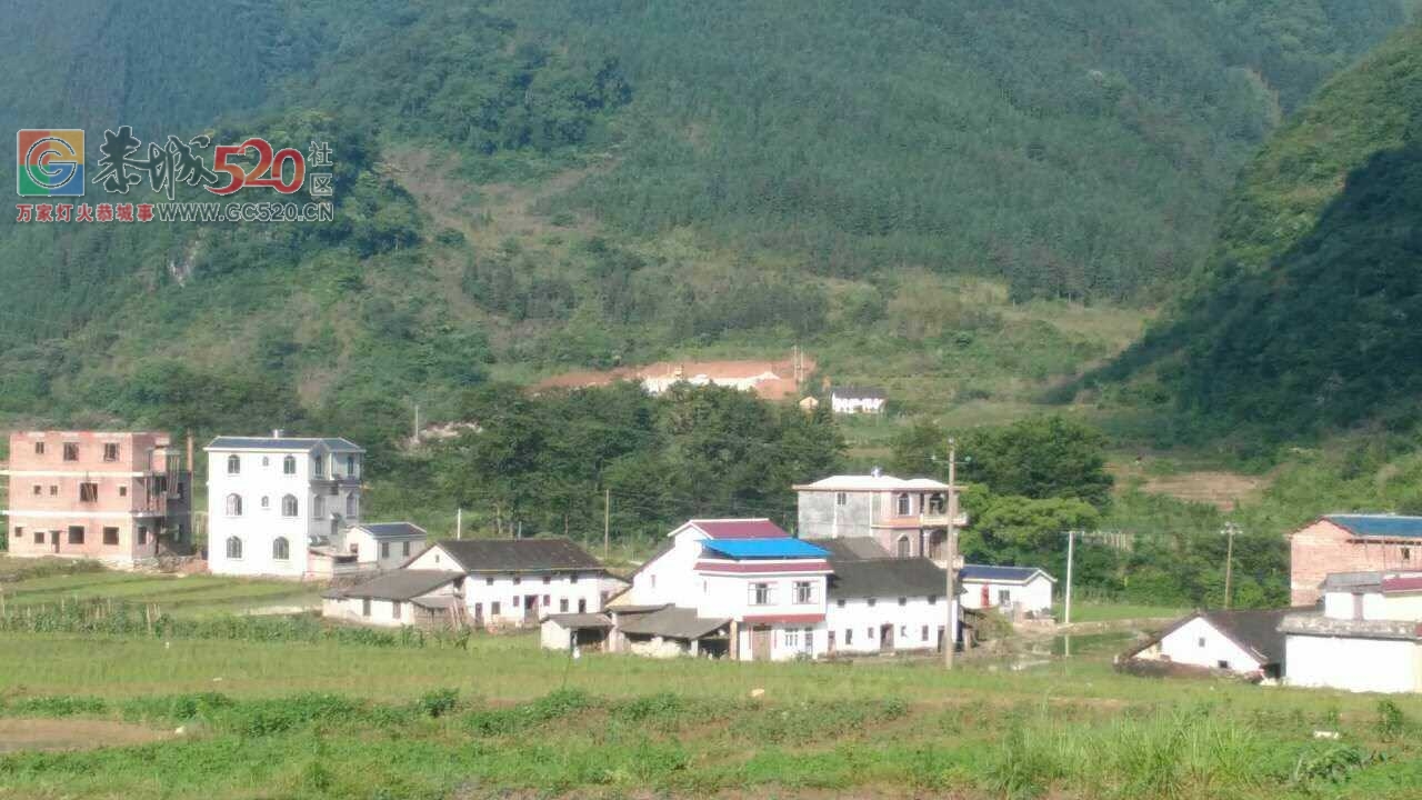 观音水滨水莲村垃圾焚烧场建设不合理！！459 / 作者:糕富帅 / 帖子ID:232483