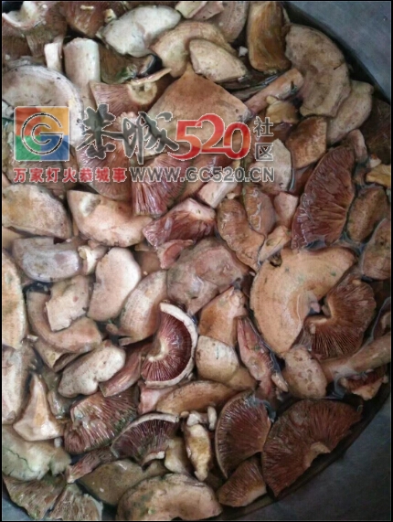 我也来晒晒，夏至菌熬土鸡125 / 作者:罗少爷 / 帖子ID:232476