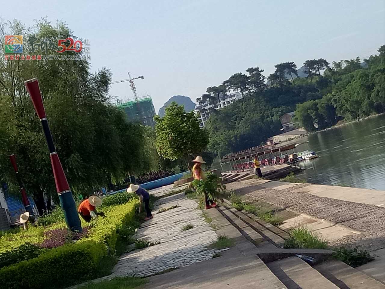 滨江苑环卫工人，把修理的草全扔下河。。520网友你们怎么看？731 / 作者:小小牵牛花 / 帖子ID:232757