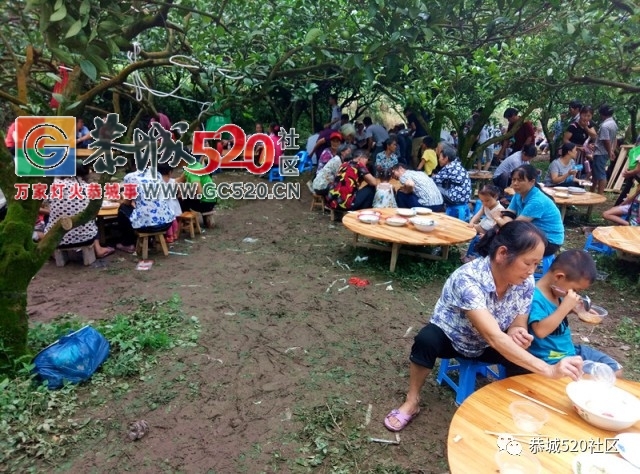 敬祖尊老盼丰年，记莲花凤岩第二届“尝新节”及新庙落成庆典644 / 作者:社区小编 / 帖子ID:232974