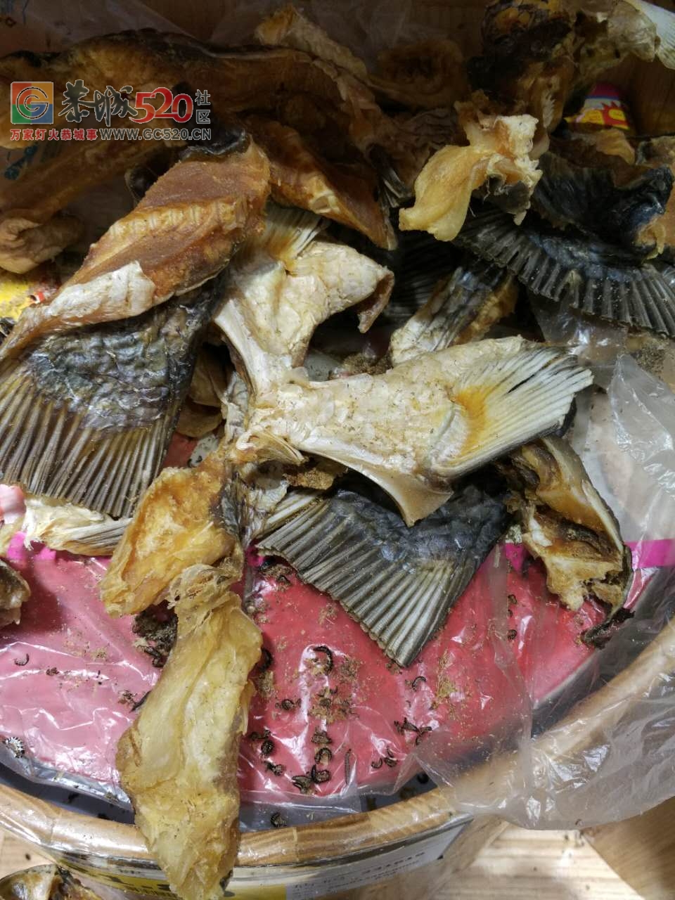 天和超市的干货上面全是小虫子，忒恶心了！766 / 作者:啤酒加烤串儿 / 帖子ID:233036