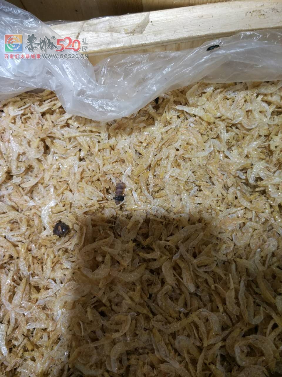 天和超市的干货上面全是小虫子，忒恶心了！288 / 作者:啤酒加烤串儿 / 帖子ID:233036