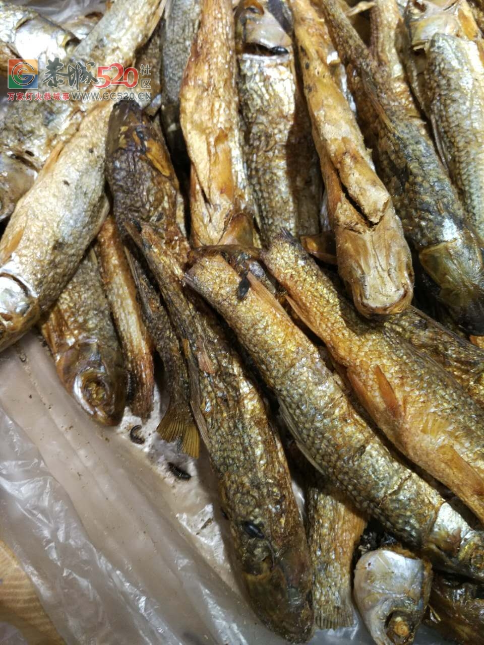 天和超市的干货上面全是小虫子，忒恶心了！120 / 作者:啤酒加烤串儿 / 帖子ID:233036