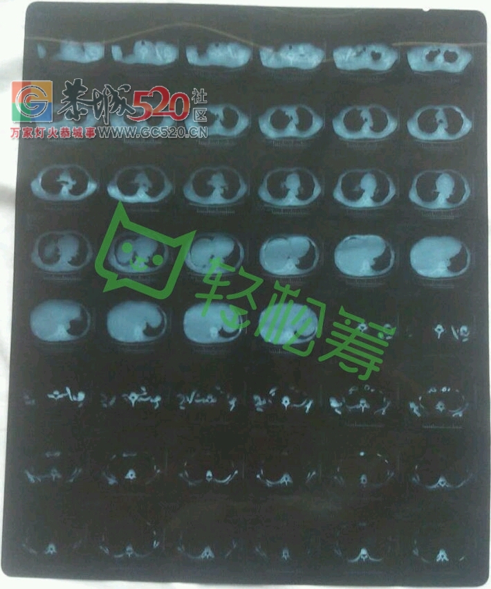 大爱无疆，救救我这可怜的一家之主385 / 作者:花花。 / 帖子ID:233046