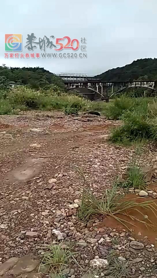 关于峻山水库是否溢洪。400 / 作者:乐湾娃仔 / 帖子ID:233117