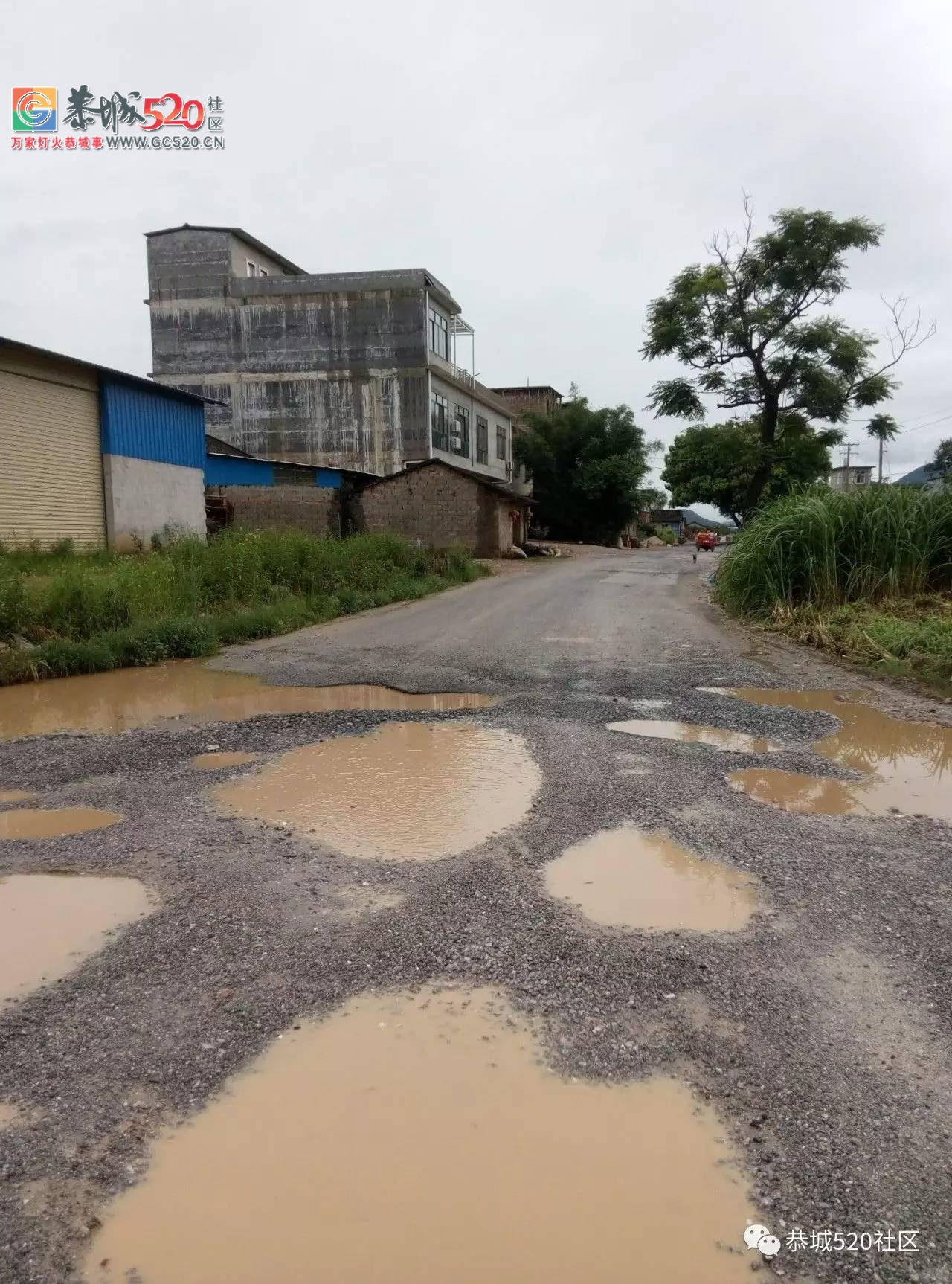 【烂路】西岭镇马路桥路段一直都是坑坑洼洼的， 多次曝光何时能“休”？689 / 作者:社区小编 / 帖子ID:233152