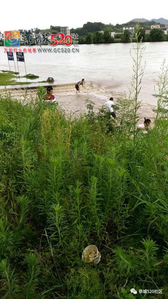 【峻山水库最新溢洪信息】今日（7月3日）凌晨00:10峻山水库开始溢洪；滨江苑大水还...191 / 作者:社区小编 / 帖子ID:233154