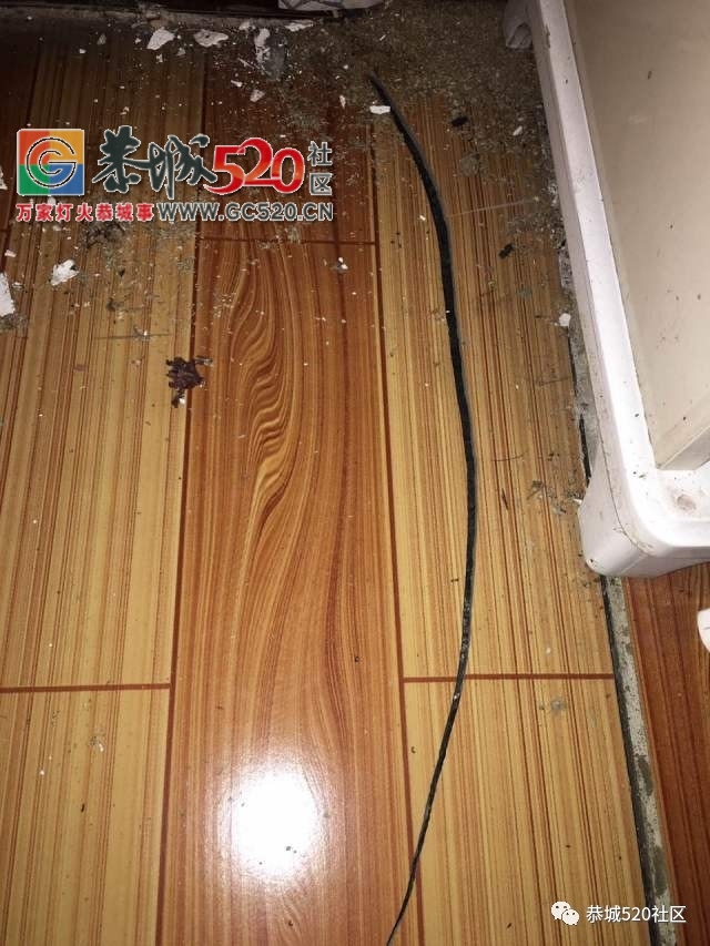 【网友求助】西岭镇营盘村茅坪队一村民家出现大量裂痕...870 / 作者:社区小编 / 帖子ID:233155