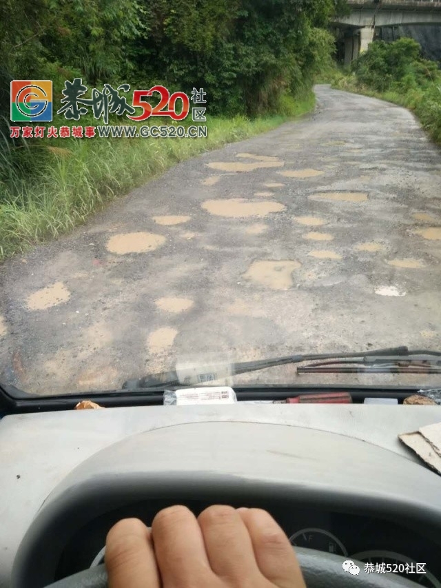 【恭城身边事】滨江苑一带树上的“紧箍咒”何时除；势江进到河口的路这样烂， 多次...144 / 作者:社区小编 / 帖子ID:233197