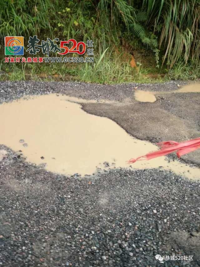 【恭城身边事】滨江苑一带树上的“紧箍咒”何时除；势江进到河口的路这样烂， 多次...257 / 作者:社区小编 / 帖子ID:233197