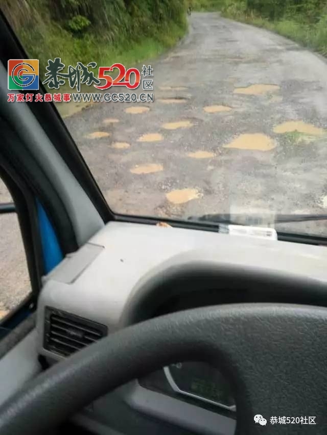 【恭城身边事】滨江苑一带树上的“紧箍咒”何时除；势江进到河口的路这样烂， 多次...400 / 作者:社区小编 / 帖子ID:233197