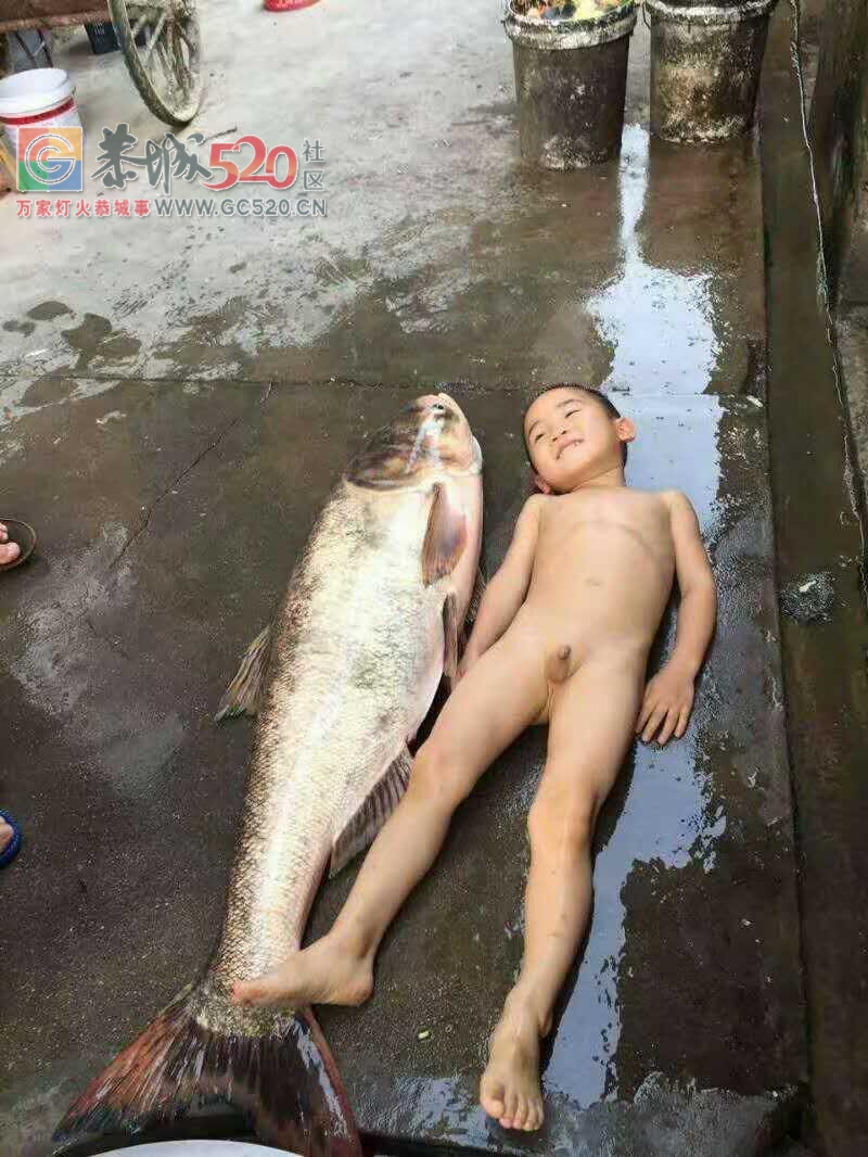 这鱼你见过没有？？？91 / 作者:龙虎街娃崽 / 帖子ID:233260