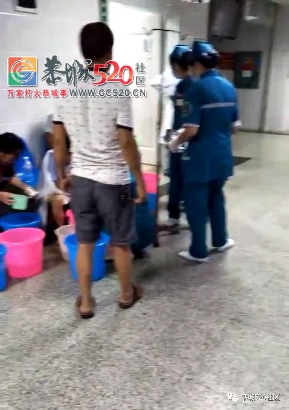 【恭城身边事】加会一群人食用野生菌后发生呕吐现象，食用野生菌时一定要注意这些...366 / 作者:社区小编 / 帖子ID:233303