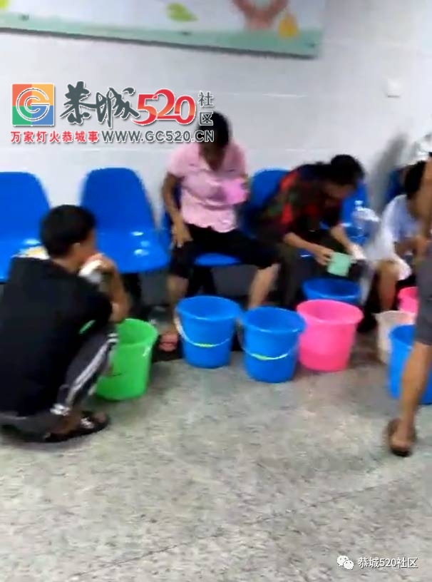 【恭城身边事】加会一群人食用野生菌后发生呕吐现象，食用野生菌时一定要注意这些...735 / 作者:社区小编 / 帖子ID:233303