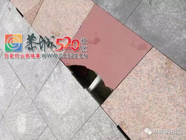 【恭城身边事】加会一群人食用野生菌后发生呕吐现象，食用野生菌时一定要注意这些...558 / 作者:社区小编 / 帖子ID:233303