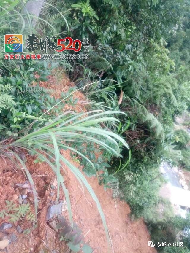【恭城身边事】西岭主街一光缆杆断成两截；云盘村一高压电杆即将倒塌，过往百姓出...492 / 作者:社区小编 / 帖子ID:233353