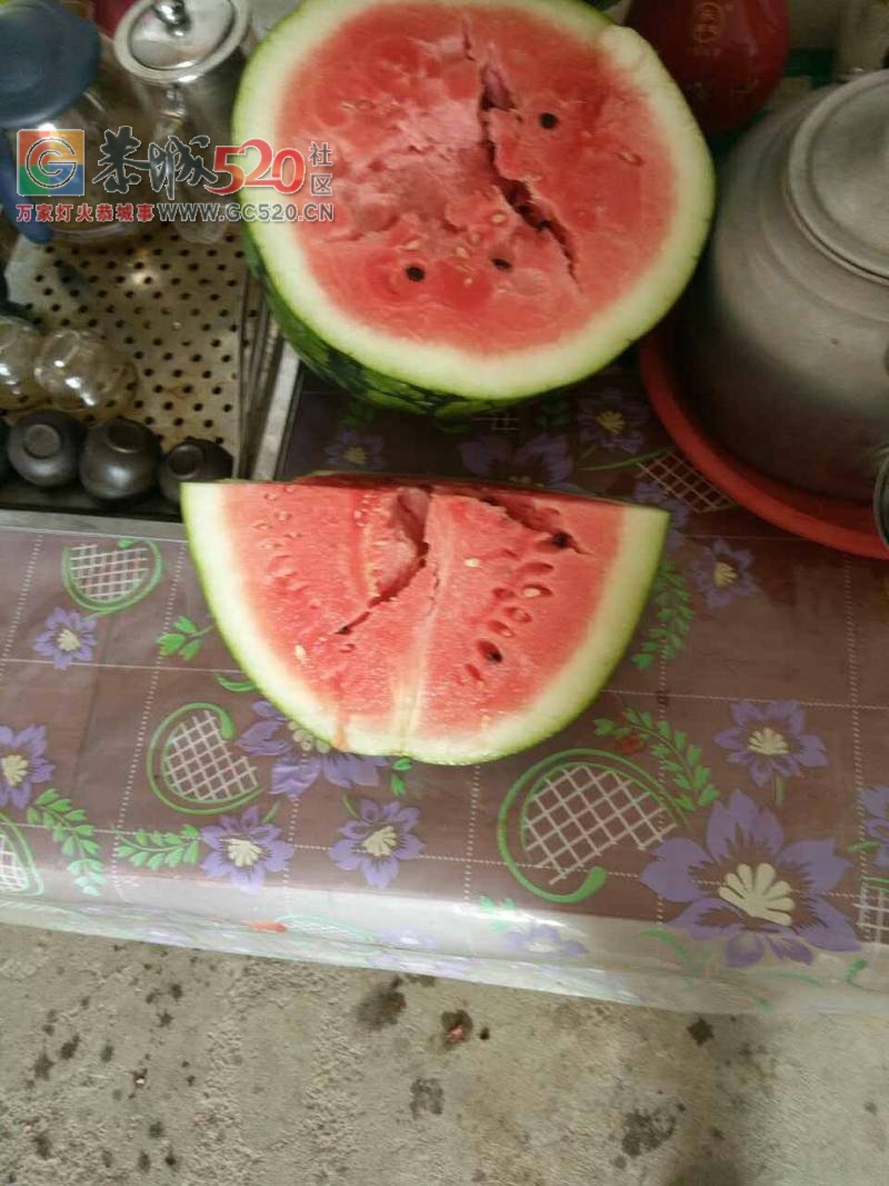 大量西瓜出售96 / 作者:分类小编 / 帖子ID:233377