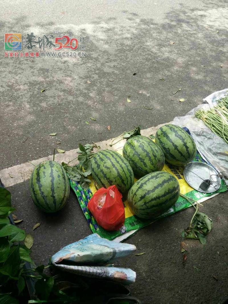 大量西瓜出售633 / 作者:分类小编 / 帖子ID:233377