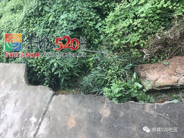 【恭城身边事】平安乡对河村一辆出租车冲下路基； 滨江苑一居民家中冒浓烟；爱车在...341 / 作者:社区小编 / 帖子ID:233384
