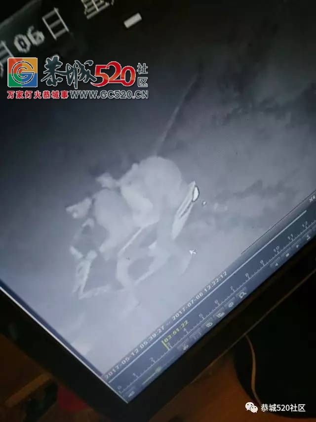 【恭城身边事】平安乡对河村一辆出租车冲下路基； 滨江苑一居民家中冒浓烟；爱车在...28 / 作者:社区小编 / 帖子ID:233384