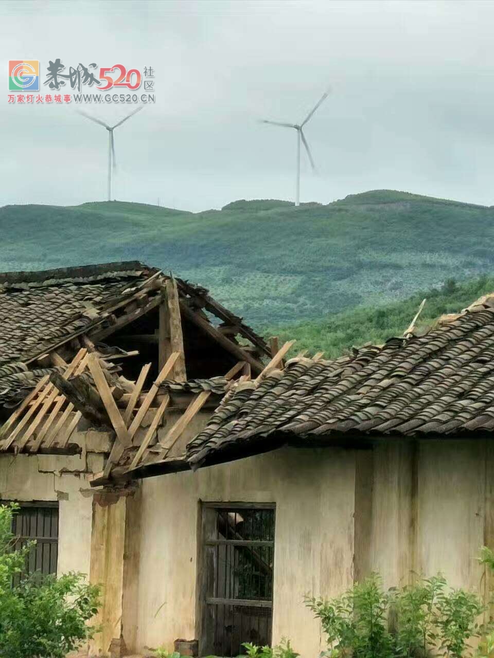 这是西岭费村岭脚小学，一夜之间成这样了！69 / 作者:万事难两全 / 帖子ID:233392