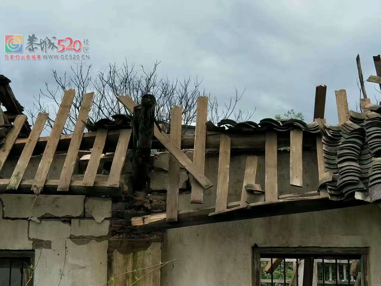 这是西岭费村岭脚小学，一夜之间成这样了！149 / 作者:万事难两全 / 帖子ID:233392