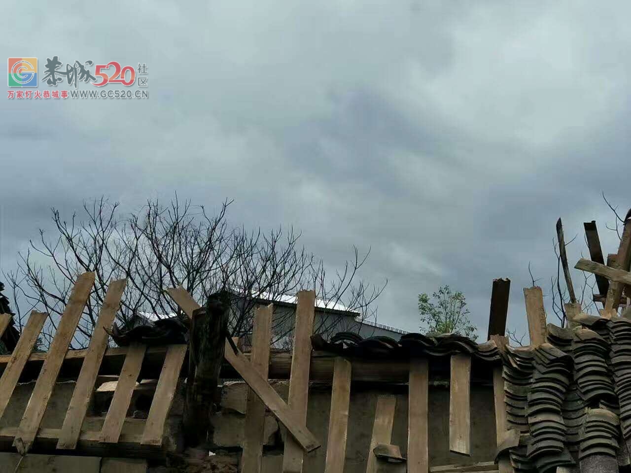 这是西岭费村岭脚小学，一夜之间成这样了！166 / 作者:万事难两全 / 帖子ID:233392