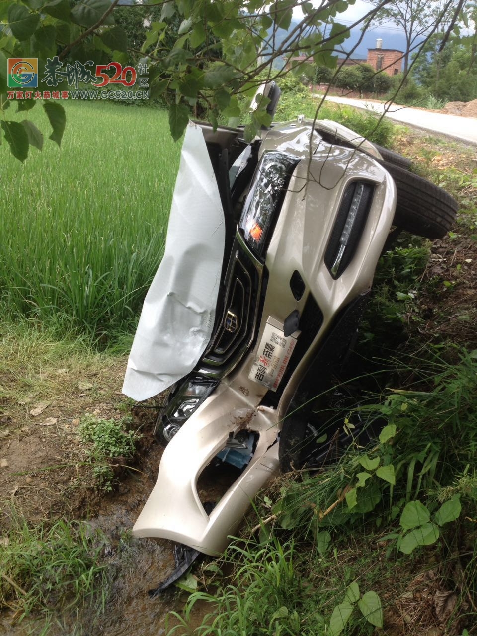 一辆还没上牌的新帝豪为避让对向行驶 的车辆，撞树上竟成这样了。。。168 / 作者:狗婆蛇 / 帖子ID:233393