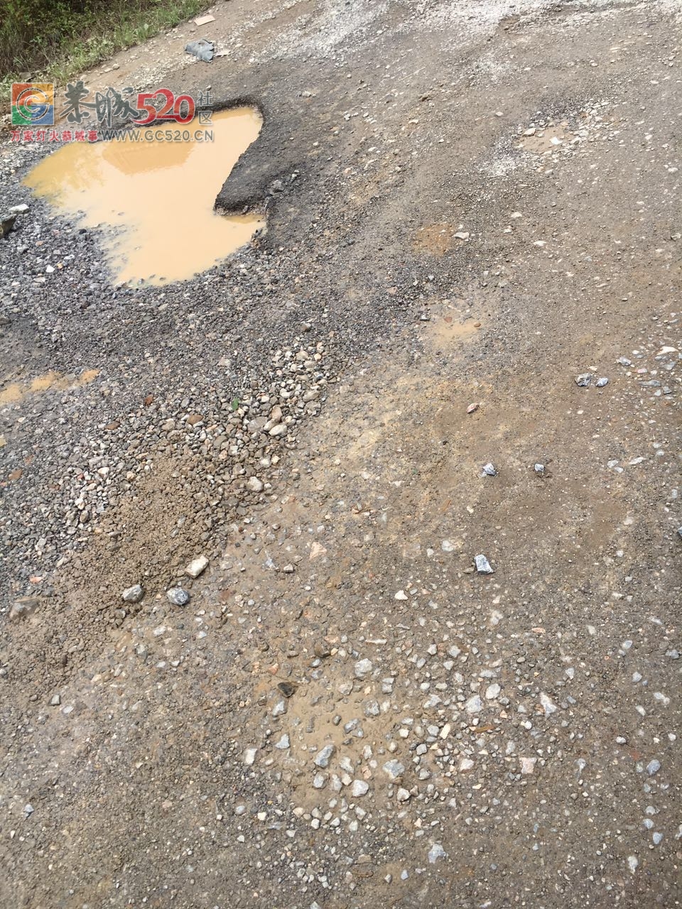 加会加油站后面往西岭路段，修了一百次也修不好！“坑爹”呢？477 / 作者:高负帅 / 帖子ID:233413