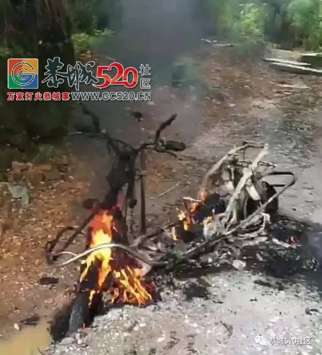 险火，栗木一电瓶车行驶途中突然自燃！373 / 作者:社区小编 / 帖子ID:233466