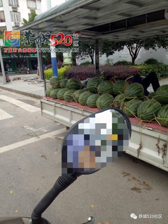 【恭城民生】西瓜价格低、滞销难卖！你有什么好的建议吗？103 / 作者:社区小编 / 帖子ID:233475