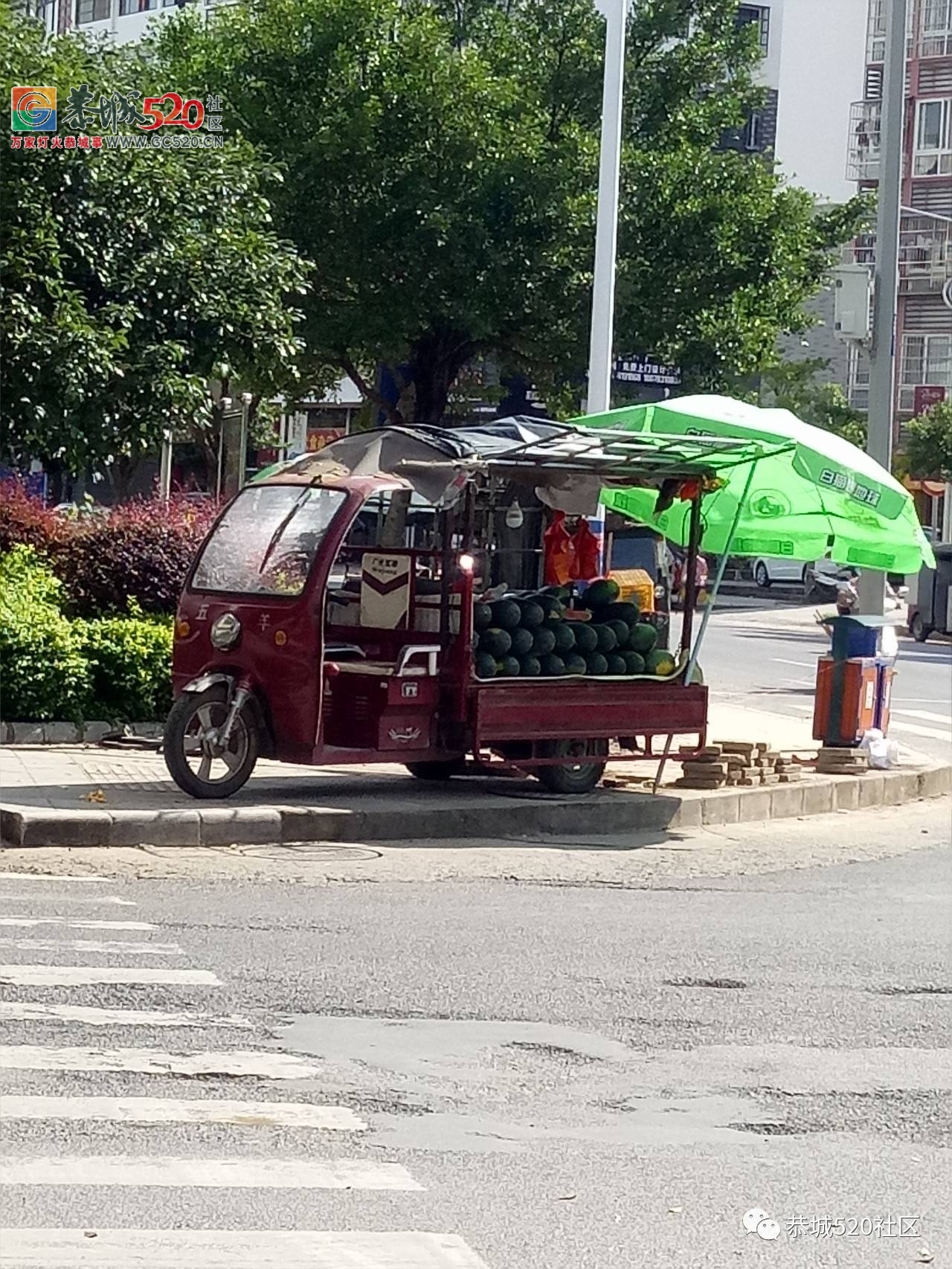 【恭城民生】西瓜价格低、滞销难卖！你有什么好的建议吗？806 / 作者:社区小编 / 帖子ID:233475