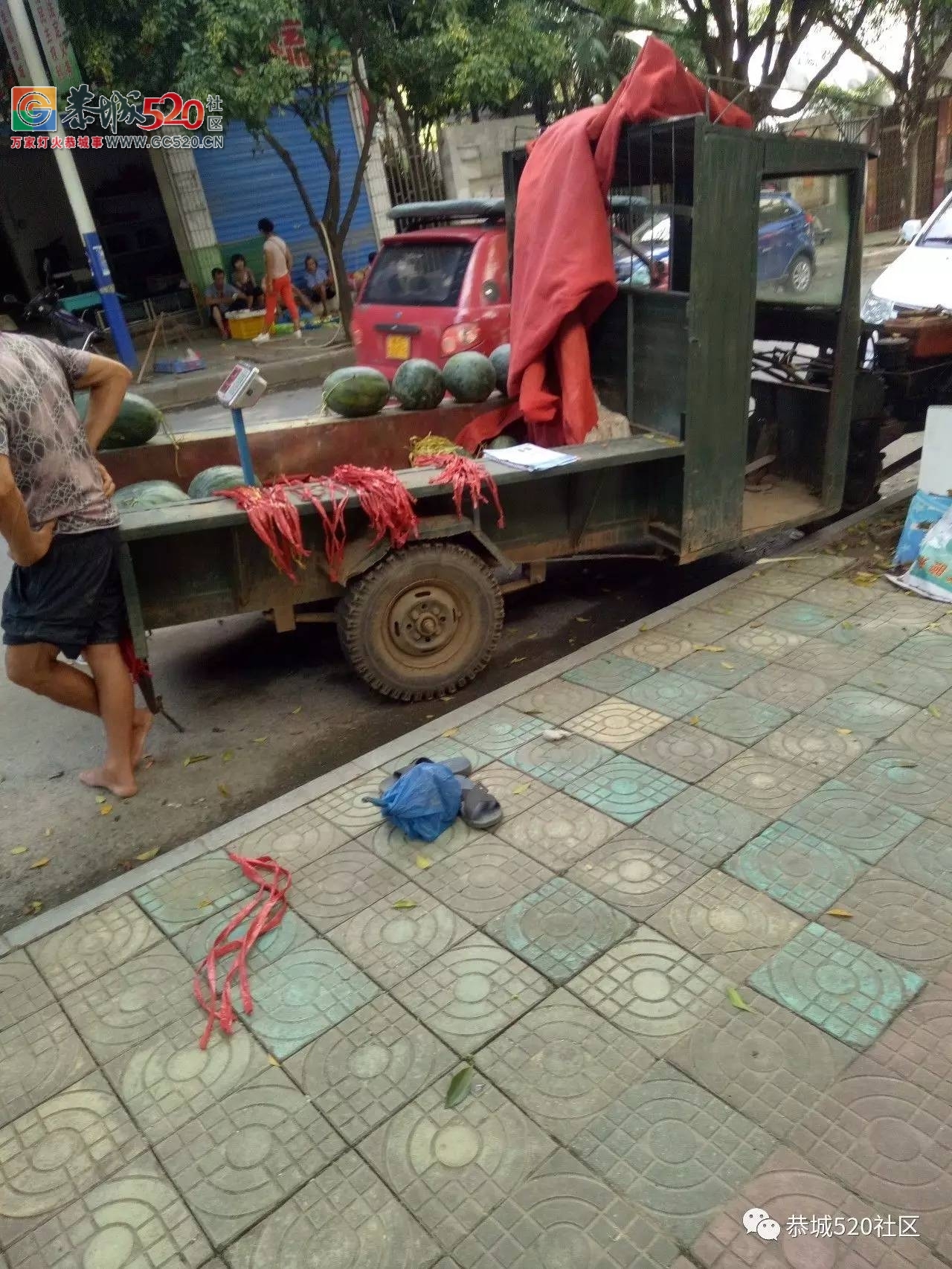 【恭城民生】西瓜价格低、滞销难卖！你有什么好的建议吗？54 / 作者:社区小编 / 帖子ID:233475