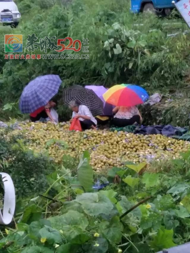 【恭城身边事】高洲灌溉农田水渠被破坏；栗木田洞村&#18907;拉水果的货车翻在路边...72 / 作者:社区小编 / 帖子ID:233478
