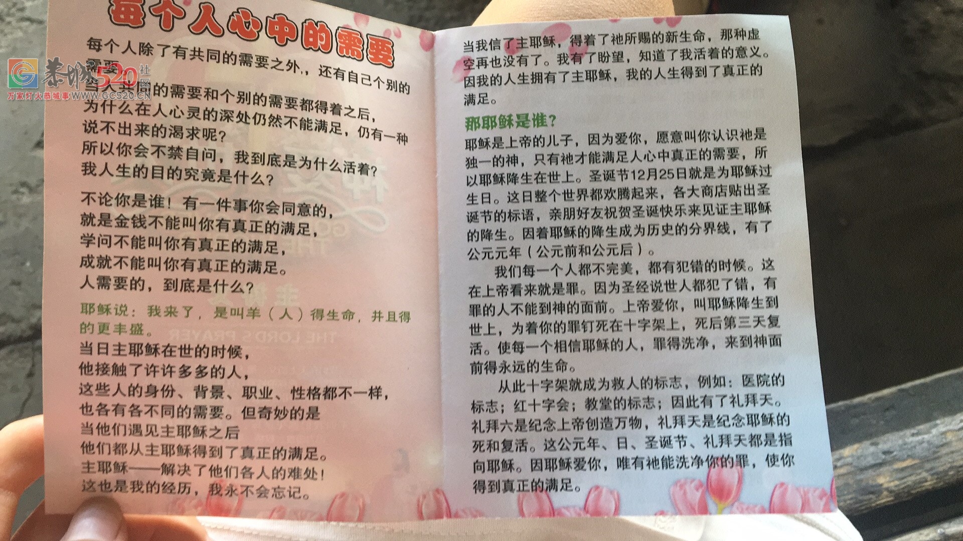 县内惊现“基督教”648 / 作者:爱生活爱美食 / 帖子ID:233513