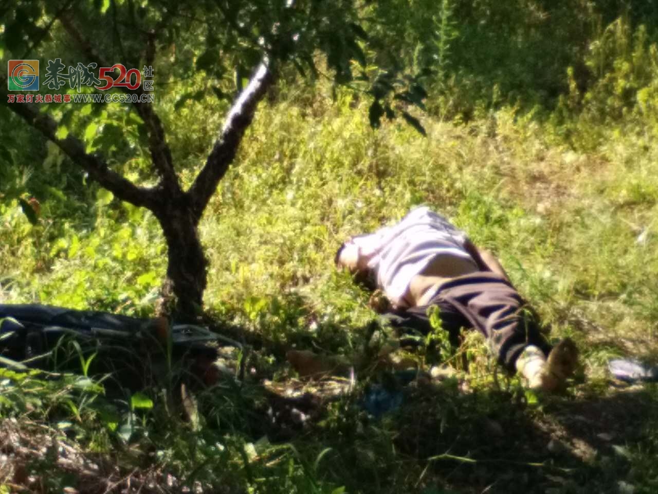 加会麒麟山摩托车追尾大车造成一死一伤！！473 / 作者:等风十里 / 帖子ID:233562