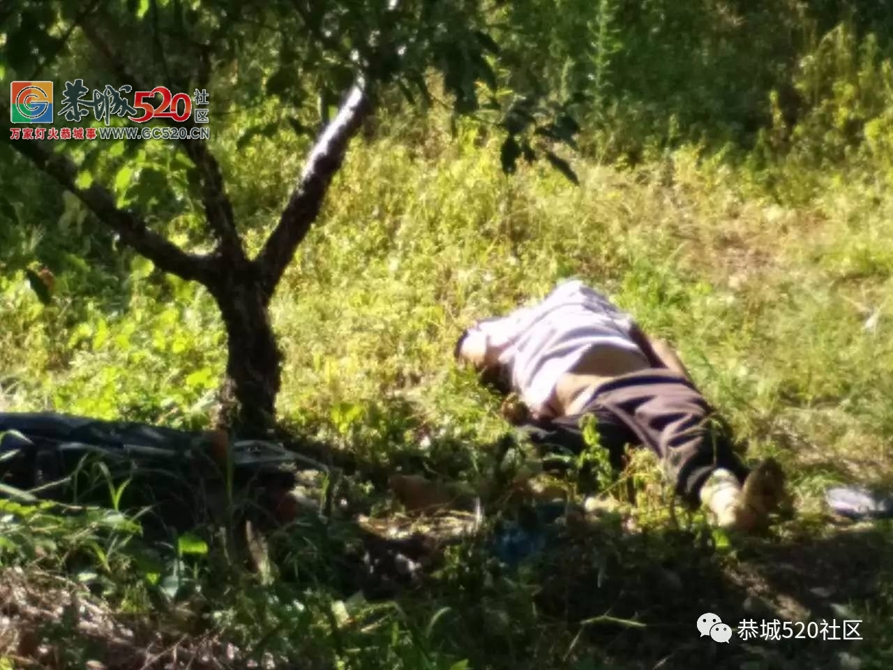 【突发】昨天下午嘉会镇麒麟山路段一摩托车因车速过快撞上路旁大车，造成一死一伤941 / 作者:社区小编 / 帖子ID:233568