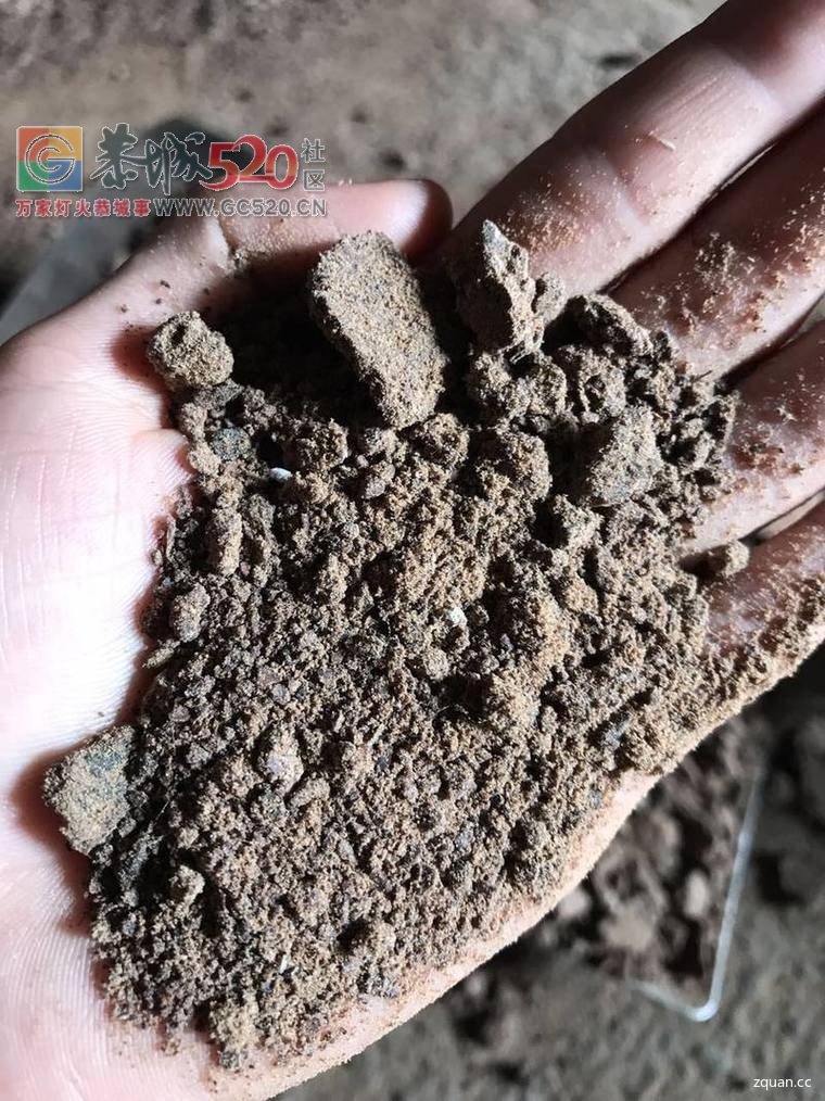 本油榨有大量茶枯出售598 / 作者:分类小编 / 帖子ID:233641