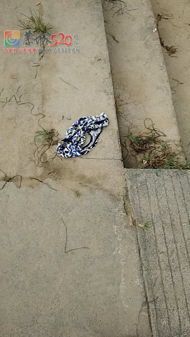 辣眼睛！谁的小裤裤？？麻烦带走172 / 作者:何明明 / 帖子ID:233645