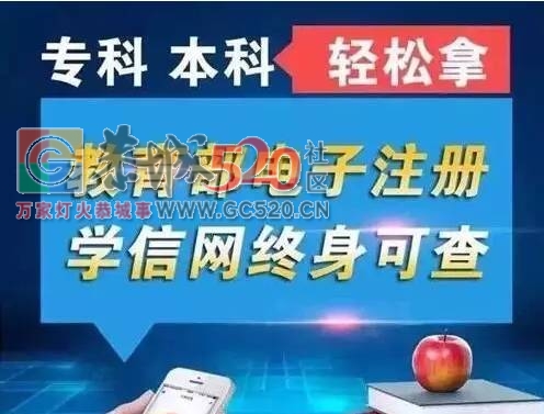 2017成人高考（函授）报名倒计时！函授大学毕业证能否考公务员？进来告诉你答案！401 / 作者:社区小编 / 帖子ID:233690