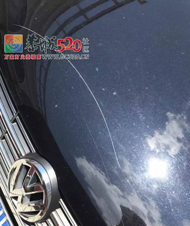 【恭城身边事】滨江菜市一小车无故遭殃；和平一水泥路成硬伤；百香果遇上强降雨；...885 / 作者:社区小编 / 帖子ID:233694