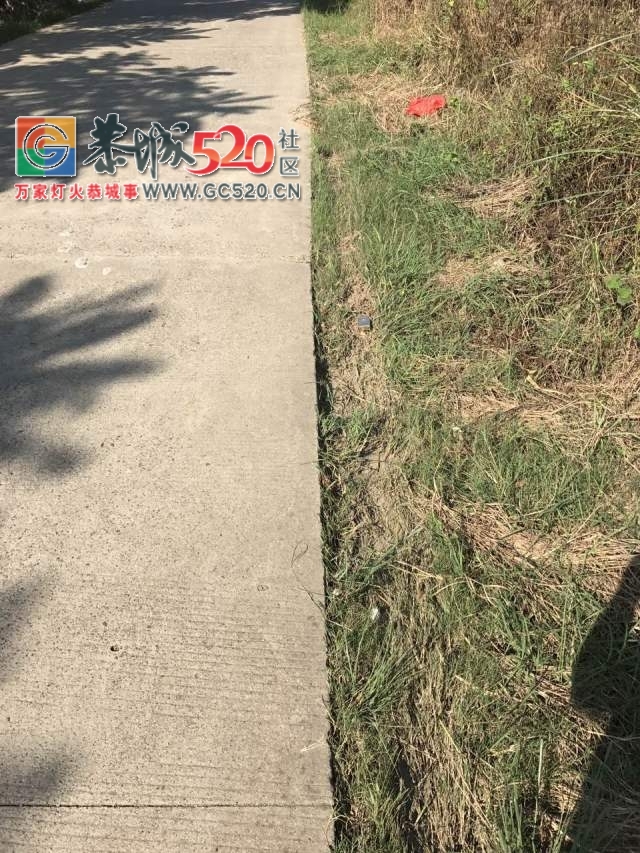 【恭城身边事】滨江菜市一小车无故遭殃；和平一水泥路成硬伤；百香果遇上强降雨；...334 / 作者:社区小编 / 帖子ID:233694