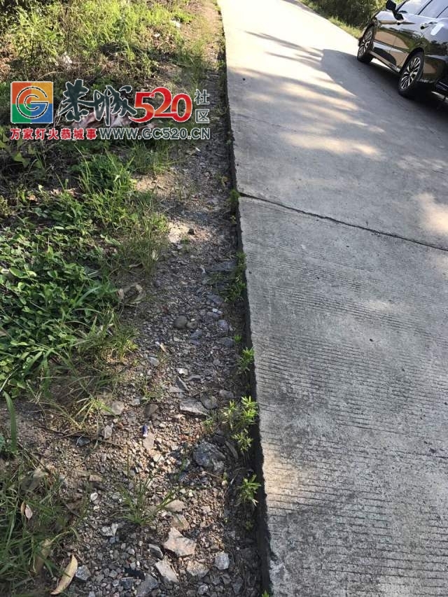 【恭城身边事】滨江菜市一小车无故遭殃；和平一水泥路成硬伤；百香果遇上强降雨；...206 / 作者:社区小编 / 帖子ID:233694