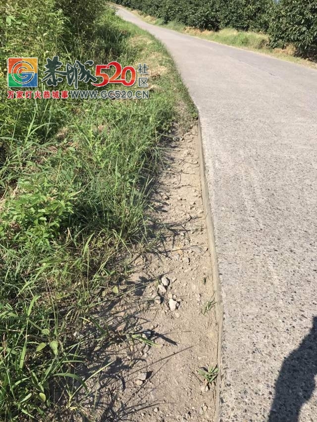【恭城身边事】滨江菜市一小车无故遭殃；和平一水泥路成硬伤；百香果遇上强降雨；...123 / 作者:社区小编 / 帖子ID:233694