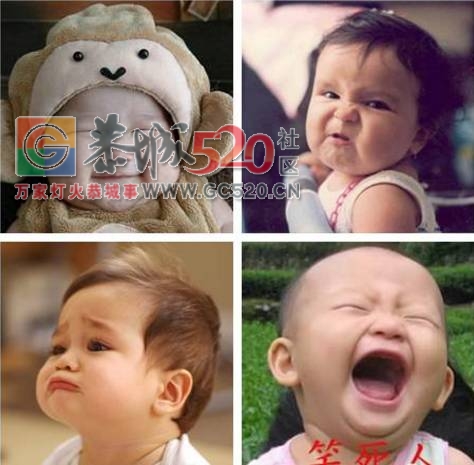 征集令|恭城最可爱baby表情秀，一个表情萌翻整个恭城！370 / 作者:碧澄匀 / 帖子ID:233722